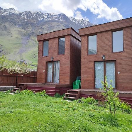 T&M Timeless Memories Apartment Kazbegi Bagian luar foto