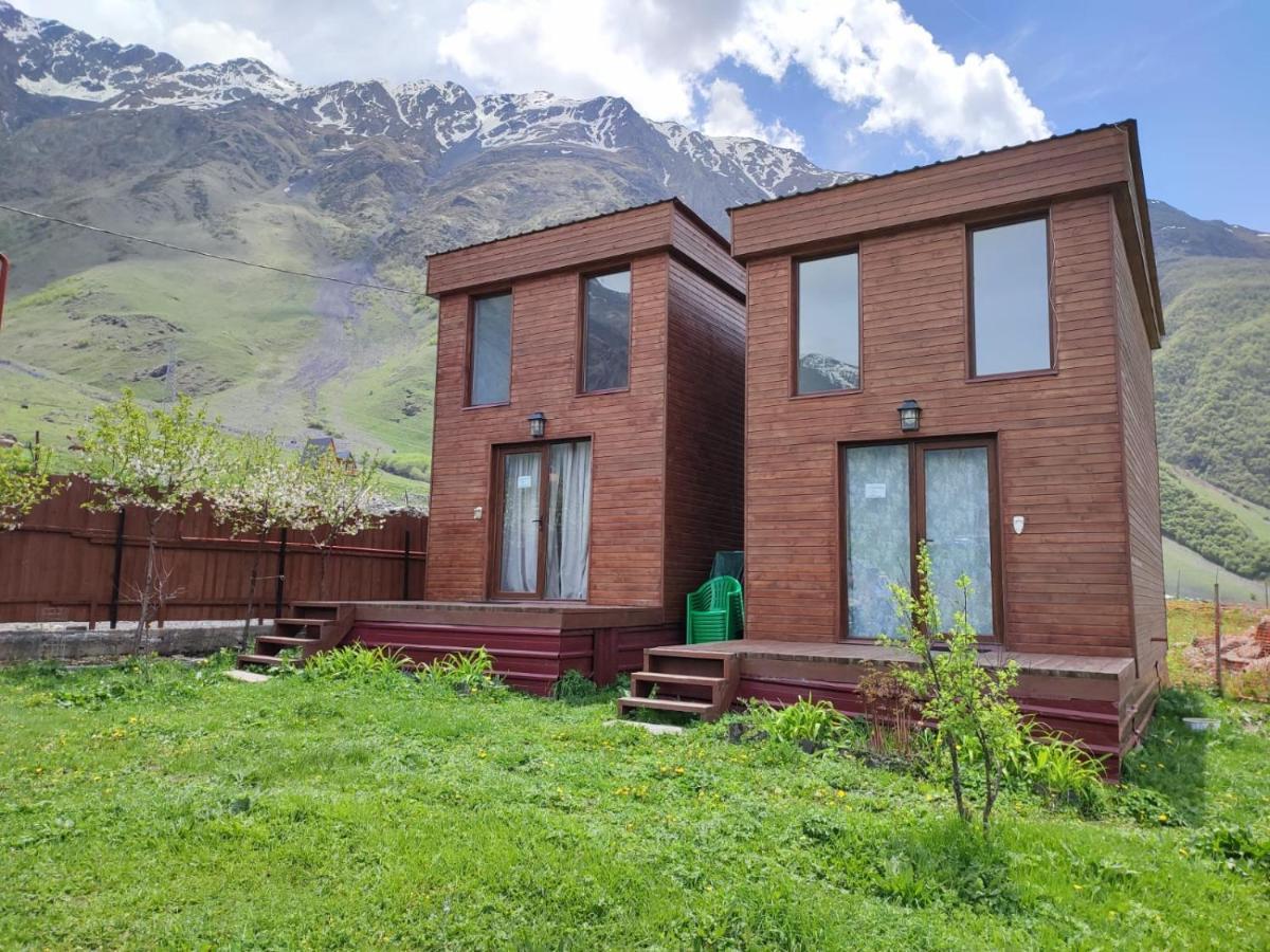 T&M Timeless Memories Apartment Kazbegi Bagian luar foto
